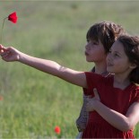 La Clé des champs les deux héros dans un champs de coquelicots