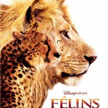 Affiche Félins Disneynature