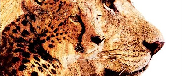 Affiche Félins Disneynature
